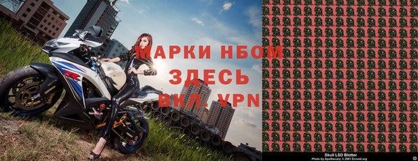 шишки Алзамай