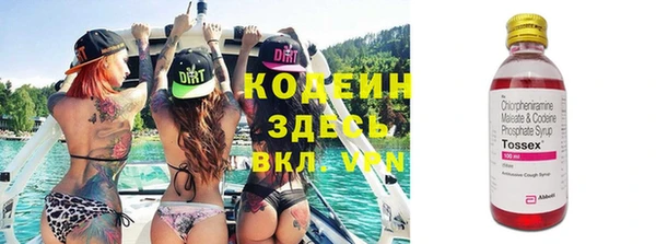 хмурый Алексеевка